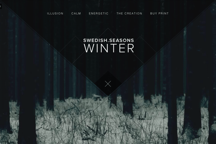 Swedish Seasons